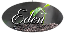 Eden Funeral Services